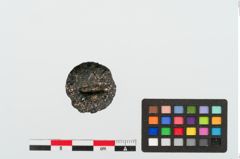 Foto von Bronzehelmniet (NHMW-PRAE-024439)